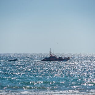 Ναυάγιο μεταναστών στον Ατλαντικό - 89 σορούς ανέσυραν οι αρχές