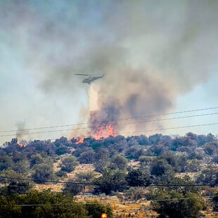 Φωτιά τώρα στη Βοιωτία - Επίγειες και εναέριες δυνάμεις της Πυροσβεστικής στο σημείο