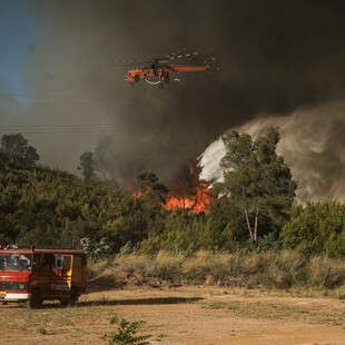 Πολύ υψηλός κίνδυνος πυρκαγιάς αύριο σε οκτώ περιοχές - 42 φωτιές το τελευταίο 24ωρο