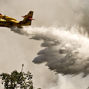 Φωτιά καίει τώρα δάσος στην Κοζάνη