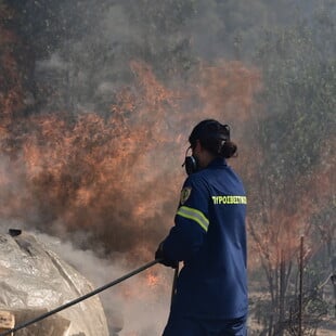 Φωτιά τώρα στα Χανιά: Μήνυμα 112 για εκκένωση οικισμών 