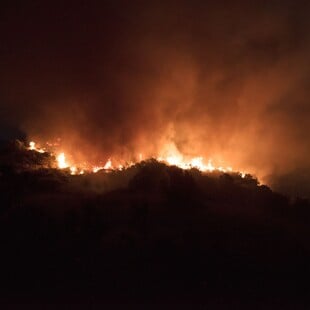 Φωτιά στην Εύβοια: Σε ολονύχτια μάχη με τις φλόγες εκατοντάδες πυροσβέστες