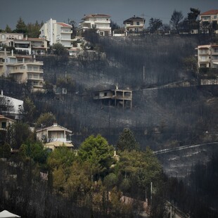 Δίκη για το Μάτι: «Κάηκαν στην περιοχή που τη λέμε "Ζούγκλα", ήταν ξαπλωμένοι, αφημένοι στον δρόμο μέχρι την επόμενη μέρα»