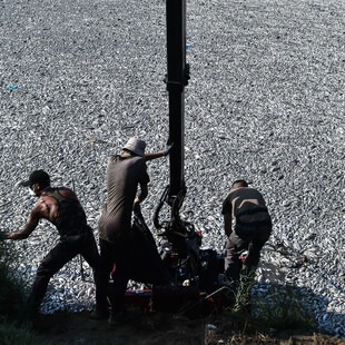 Πόλεμος ευθυνών για τα νεκρά ψάρια στον Βόλο- Άγρια κόντρα Μπέου-Κουρέτα