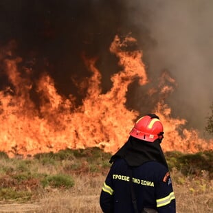 Αντιδήμαρχος για φωτιά στο Ξυλόκαστρο: «Είπα ψέματα γιατί φοβήθηκα»