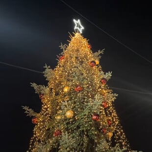 Φωταγωγήθηκε το πρώτο δέντρο για τα φετινά Χριστούγεννα στην Ελλάδα