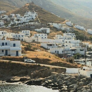 Μαζικές δηλητηριάσεις ζώων στη Σίφνο