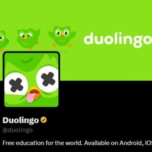 «Πέθανε» η κουκουβάγια του Duolingo