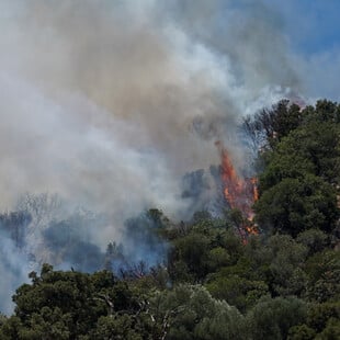 Φωτιά τώρα στα Χανιά: Καίγεται αγροτοδασική έκταση στον Αποκόρωνα