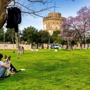 Ο καιρός σήμερα: Υψηλές θερμοκρασίες και αφρικανική σκόνη 