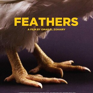 feathers