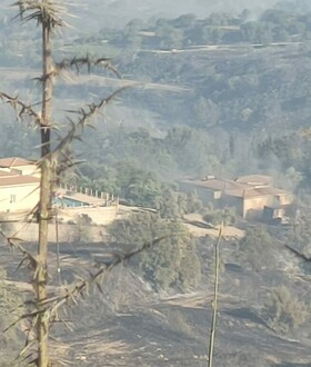 Ανξέλεγκτη η φωτιά στην Πάφο: Κάηκαν σπίτια - Εκκενώθηκαν πέντε χωριά