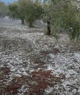 Σφοδρή χαλαζόπτωση στο Βελβεντό Κοζάνης