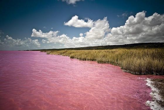 pink lake