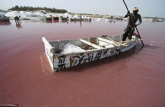 pink lake