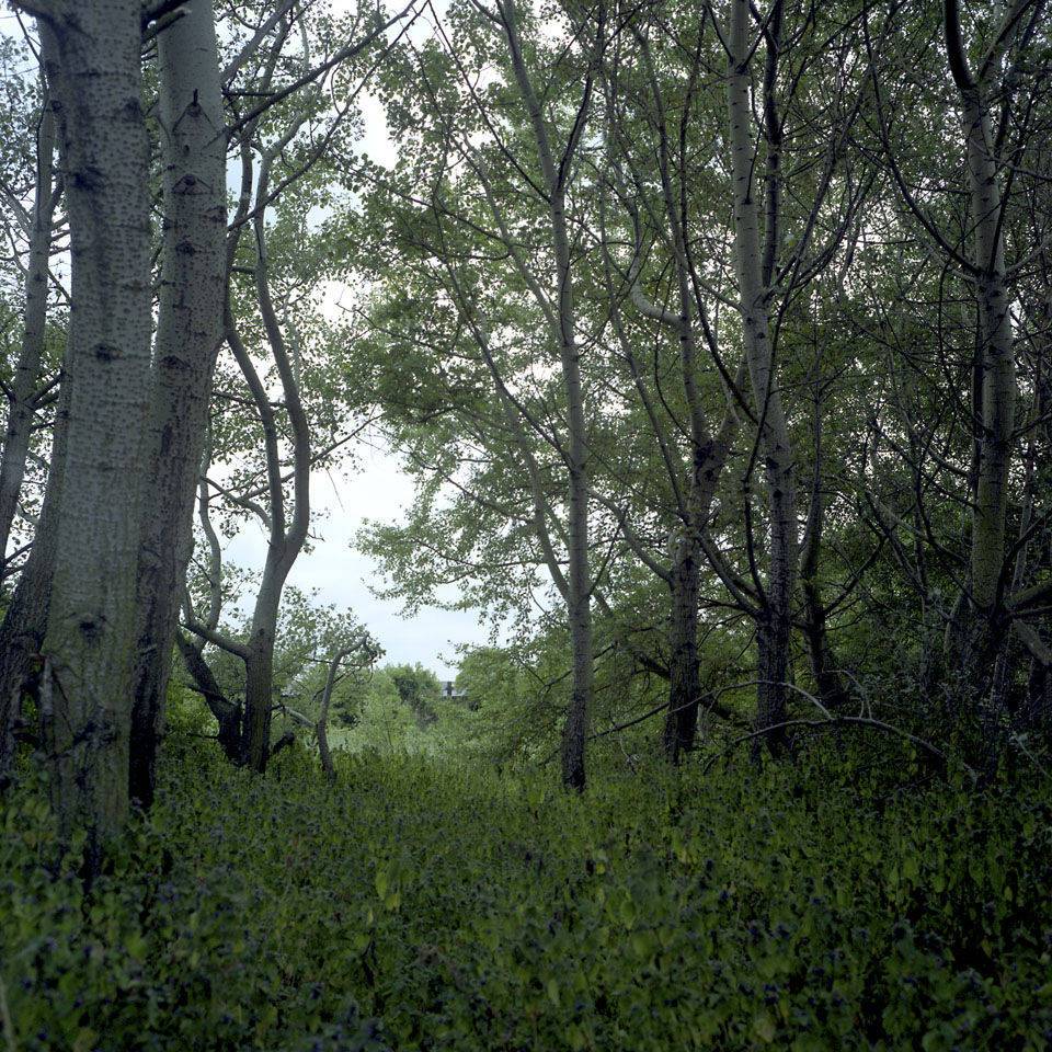 Fencing Hall_Gerche Wurfel