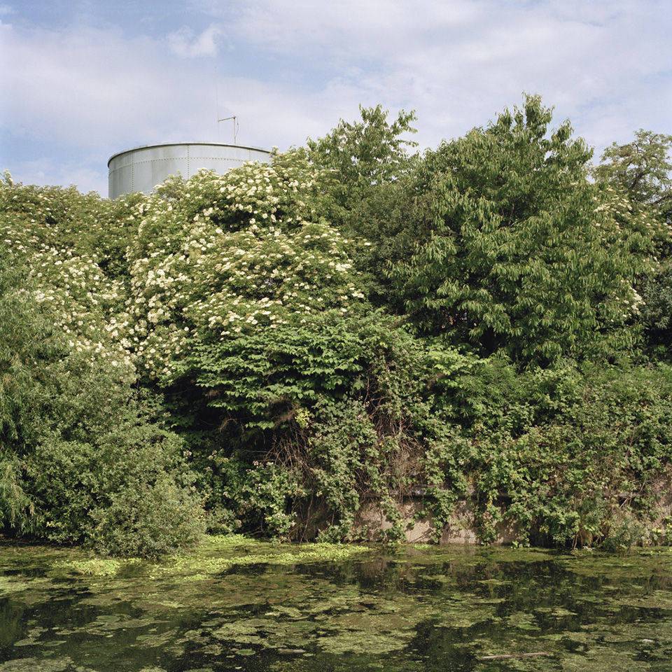 Basketball Arena_Gerche Wurfel