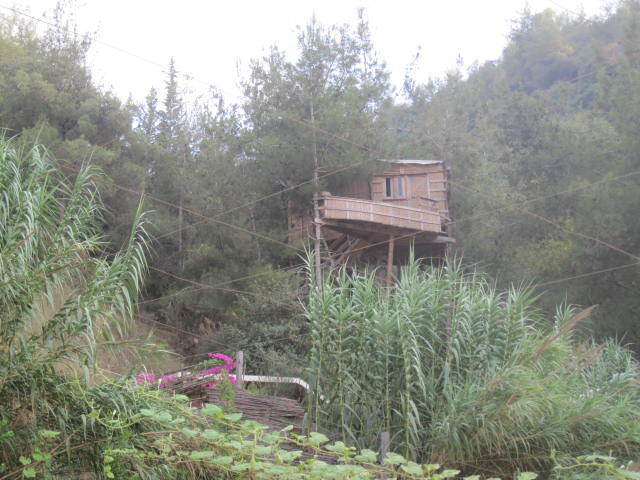 treehouses in Ecovillage_dmit river valley_Lebanon