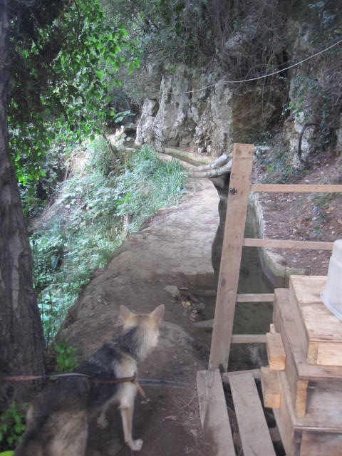 River Sifa Ecovillage_dmit river valley_Lebanon