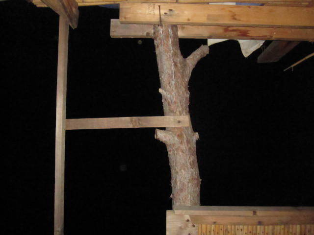 treehouse Ecovillage_dmit river valley_Lebanon